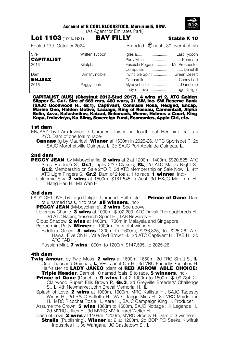 Pedigree - Lot 1103