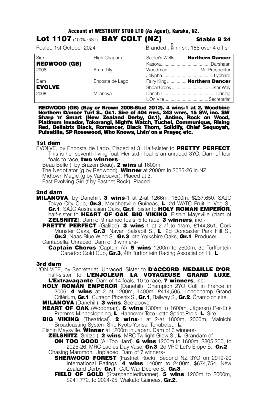 Pedigree - Lot 1107