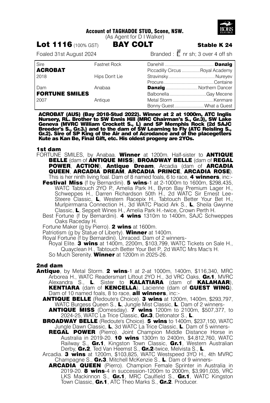 Pedigree - Lot 1116