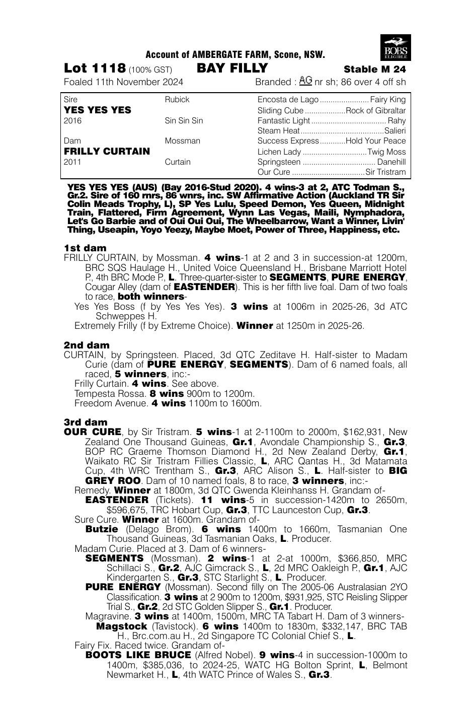Pedigree - Lot 1118