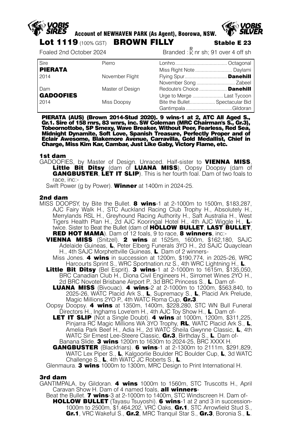 Pedigree - Lot 1119