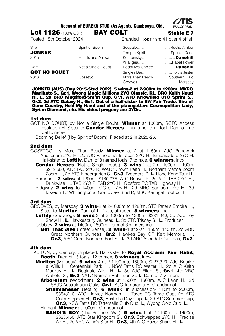Pedigree - Lot 1126