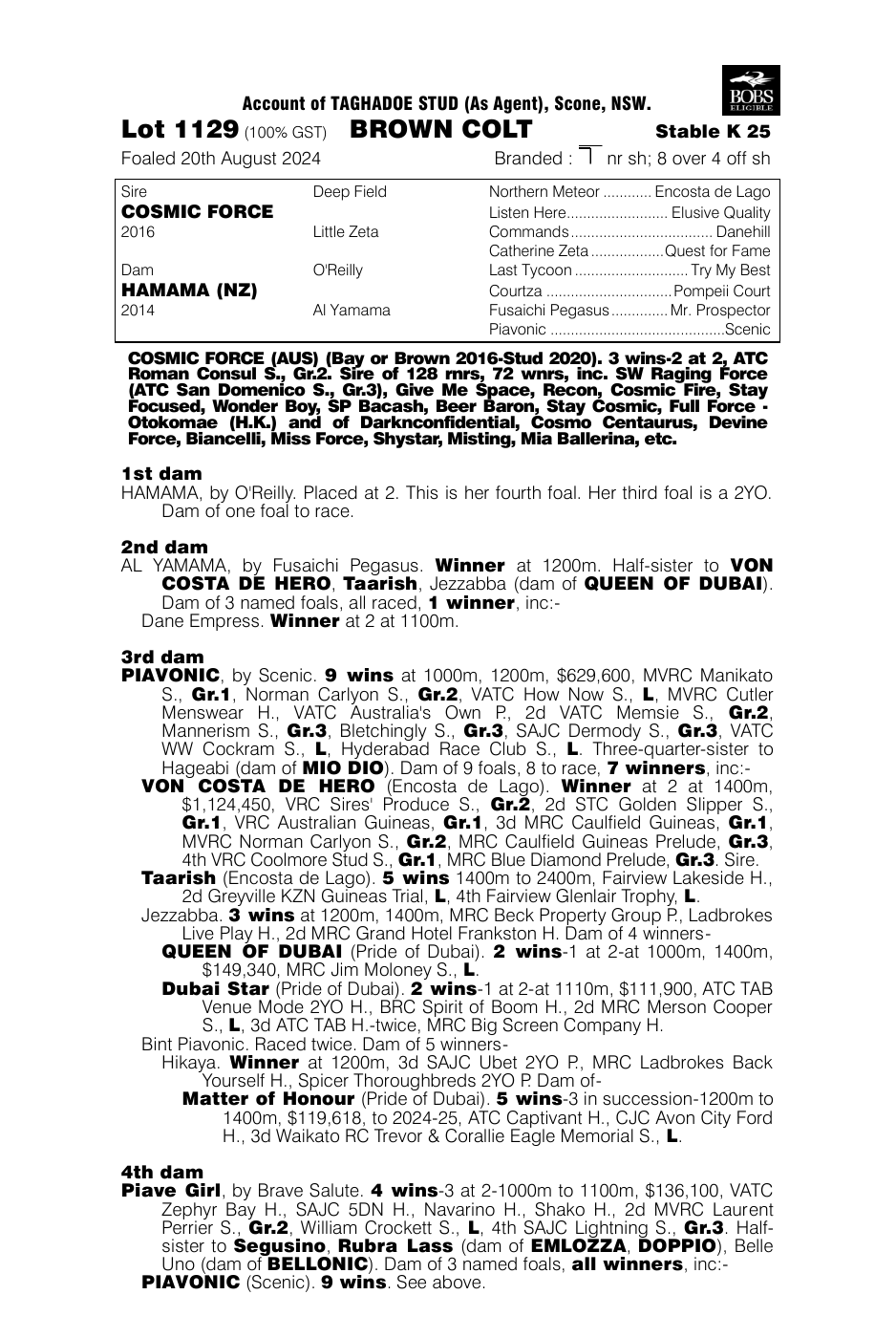 Pedigree - Lot 1129