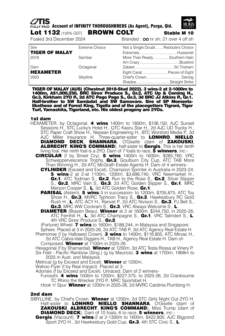 Pedigree - Lot 1132