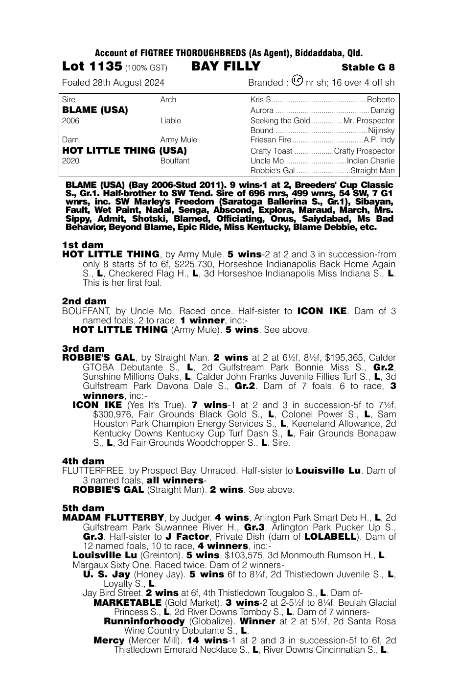 Pedigree - Lot 1135