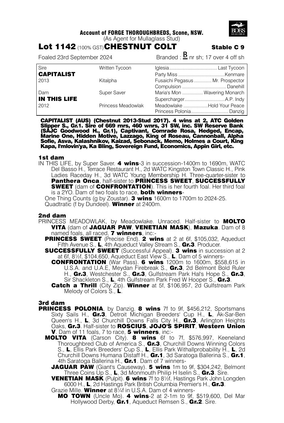 Pedigree - Lot 1142