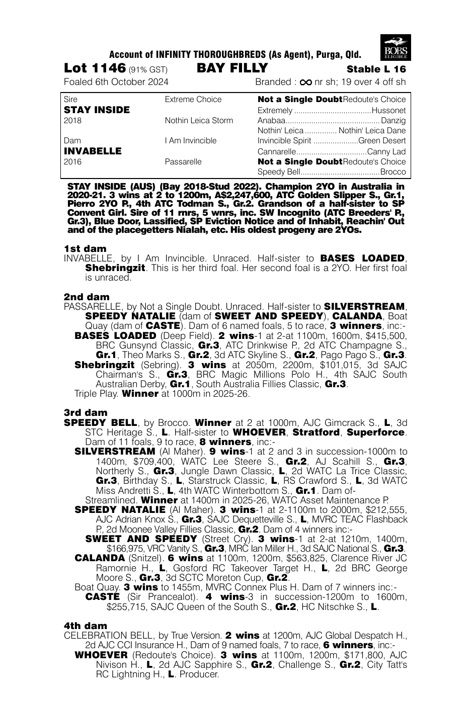 Pedigree - Lot 1146