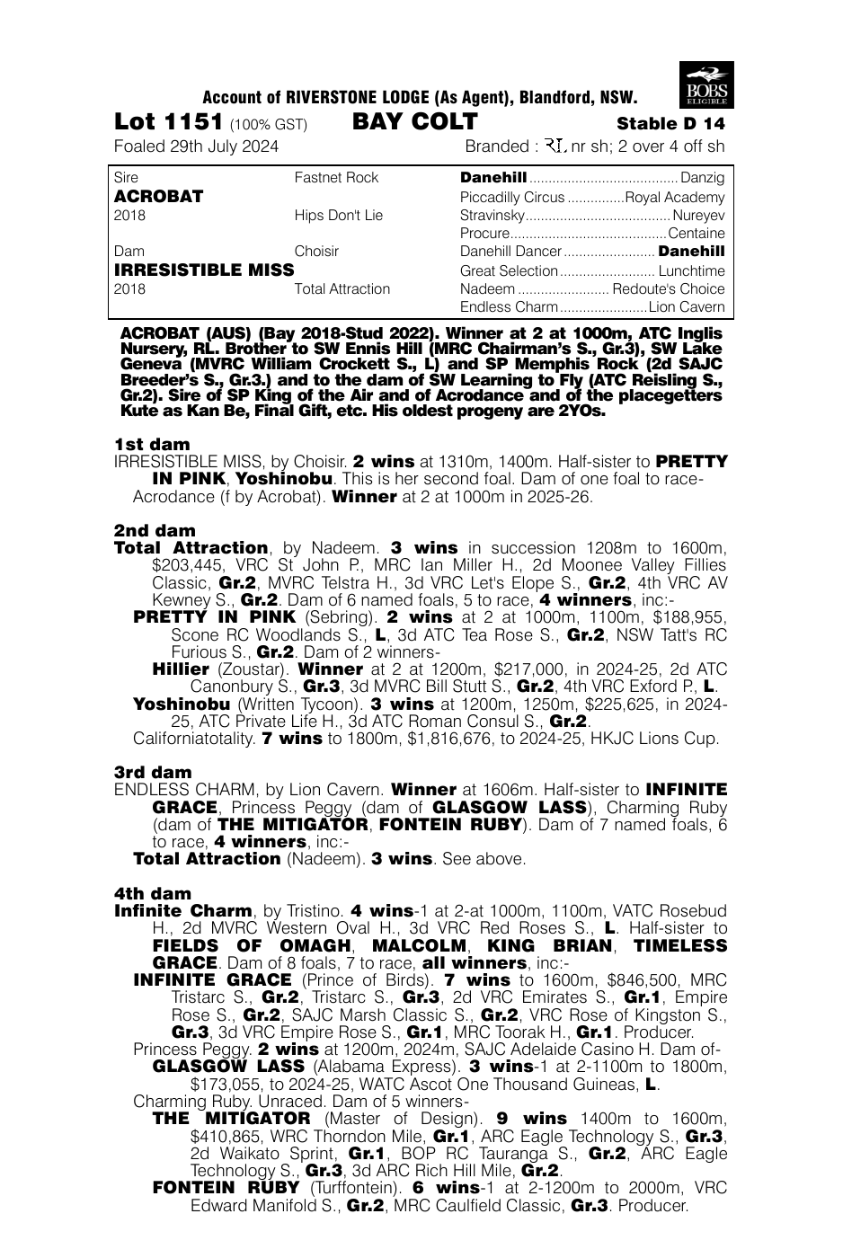Pedigree - Lot 1151
