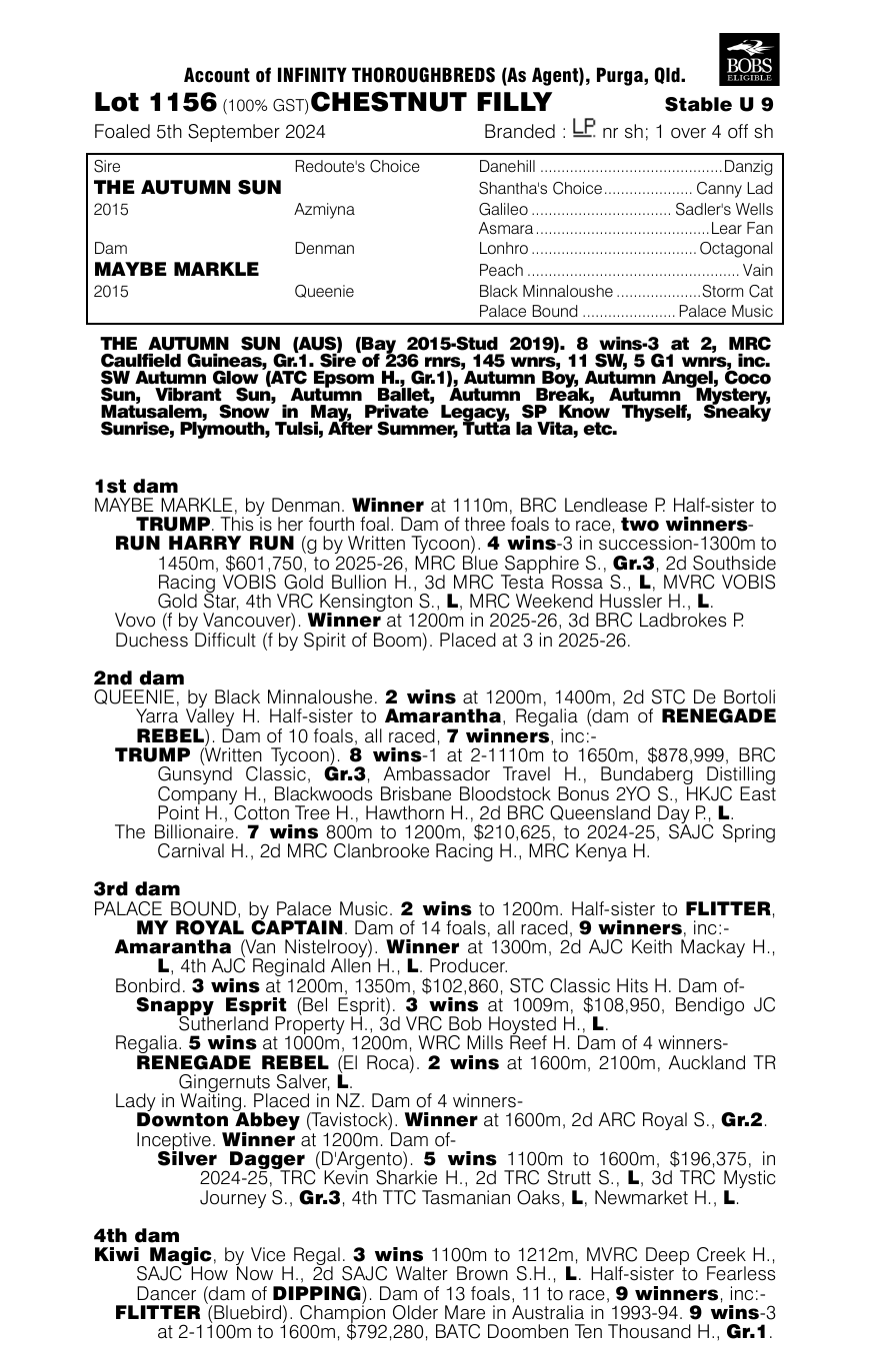 Pedigree - Lot 1156