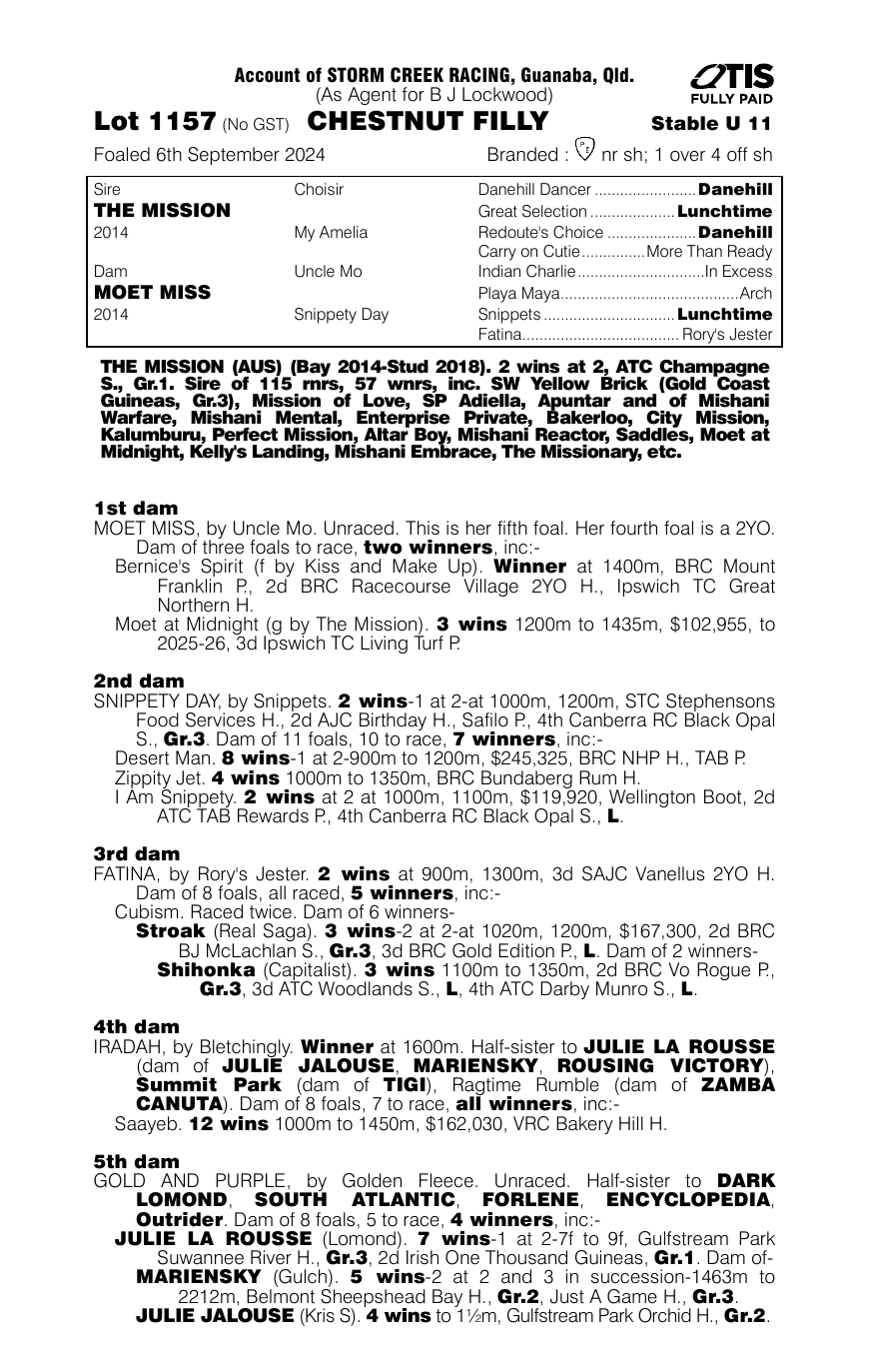 Pedigree - Lot 1157