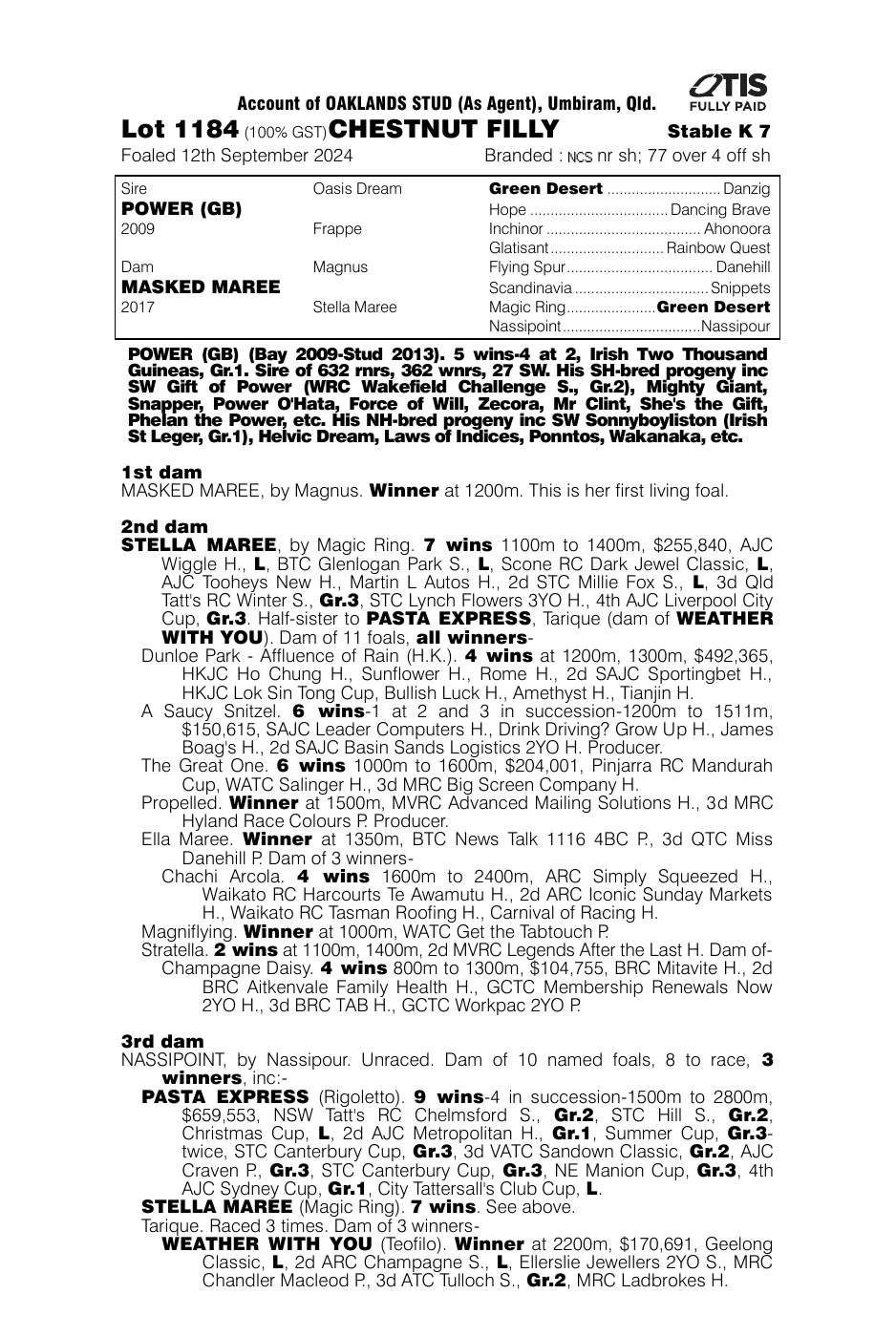 Pedigree - Lot 1184