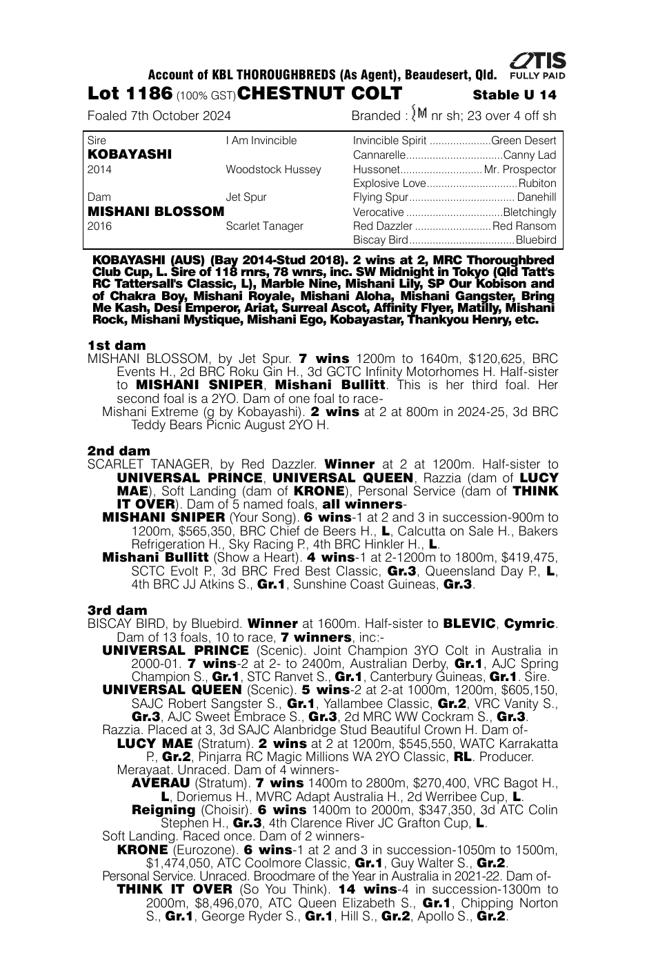 Pedigree - Lot 1186