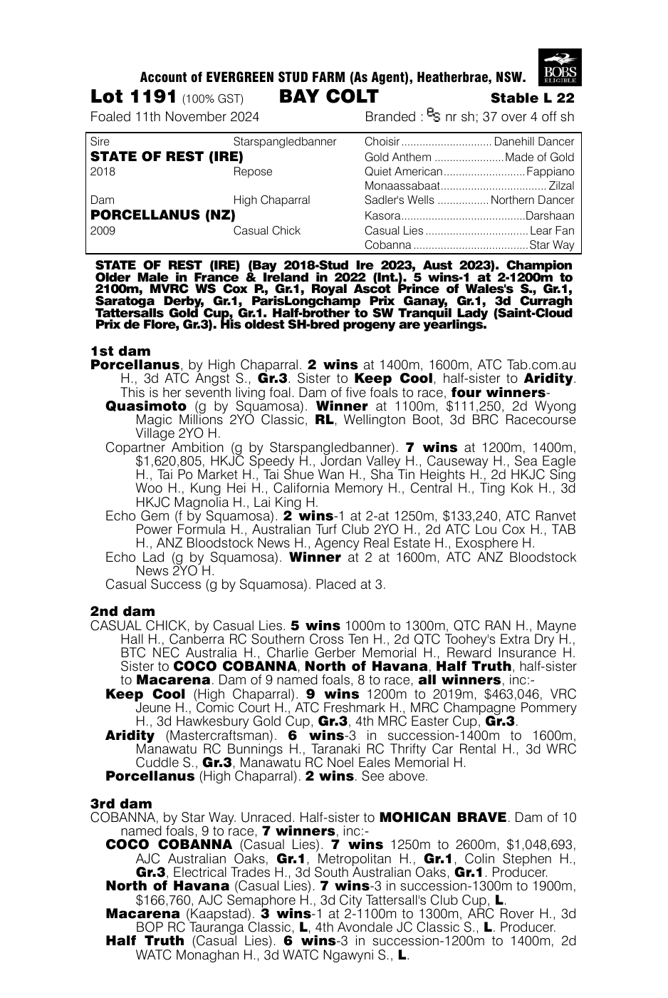 Pedigree - Lot 1191