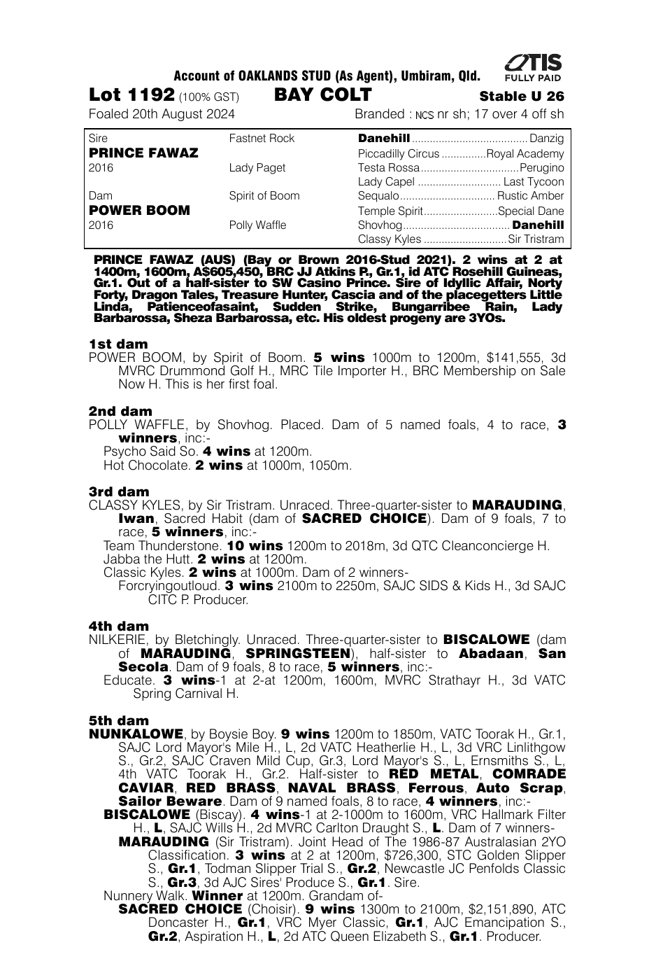 Pedigree - Lot 1192