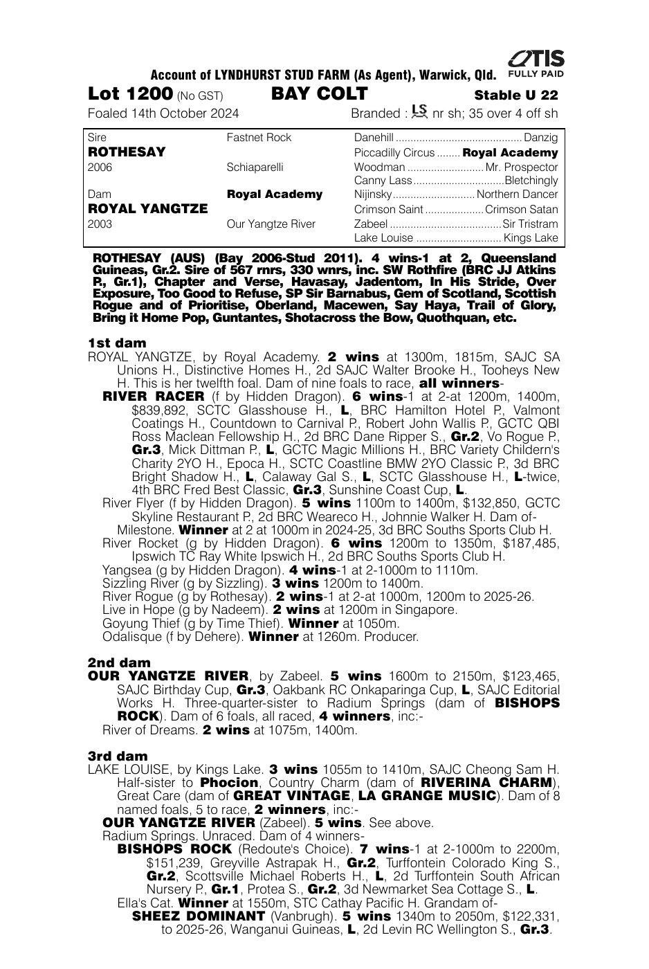Pedigree - Lot 1200
