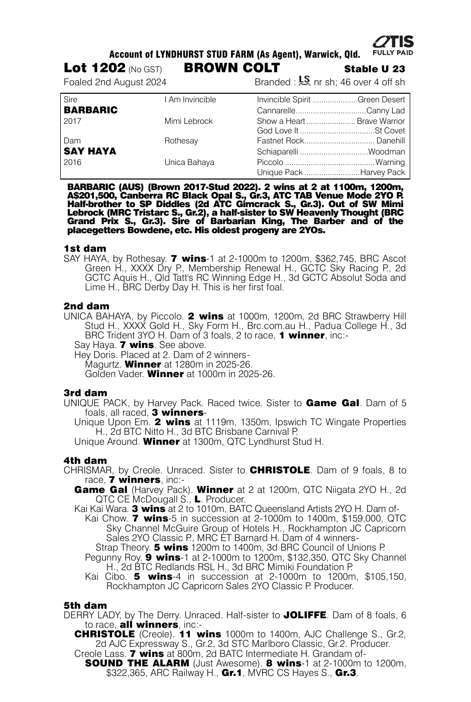 Pedigree - Lot 1202