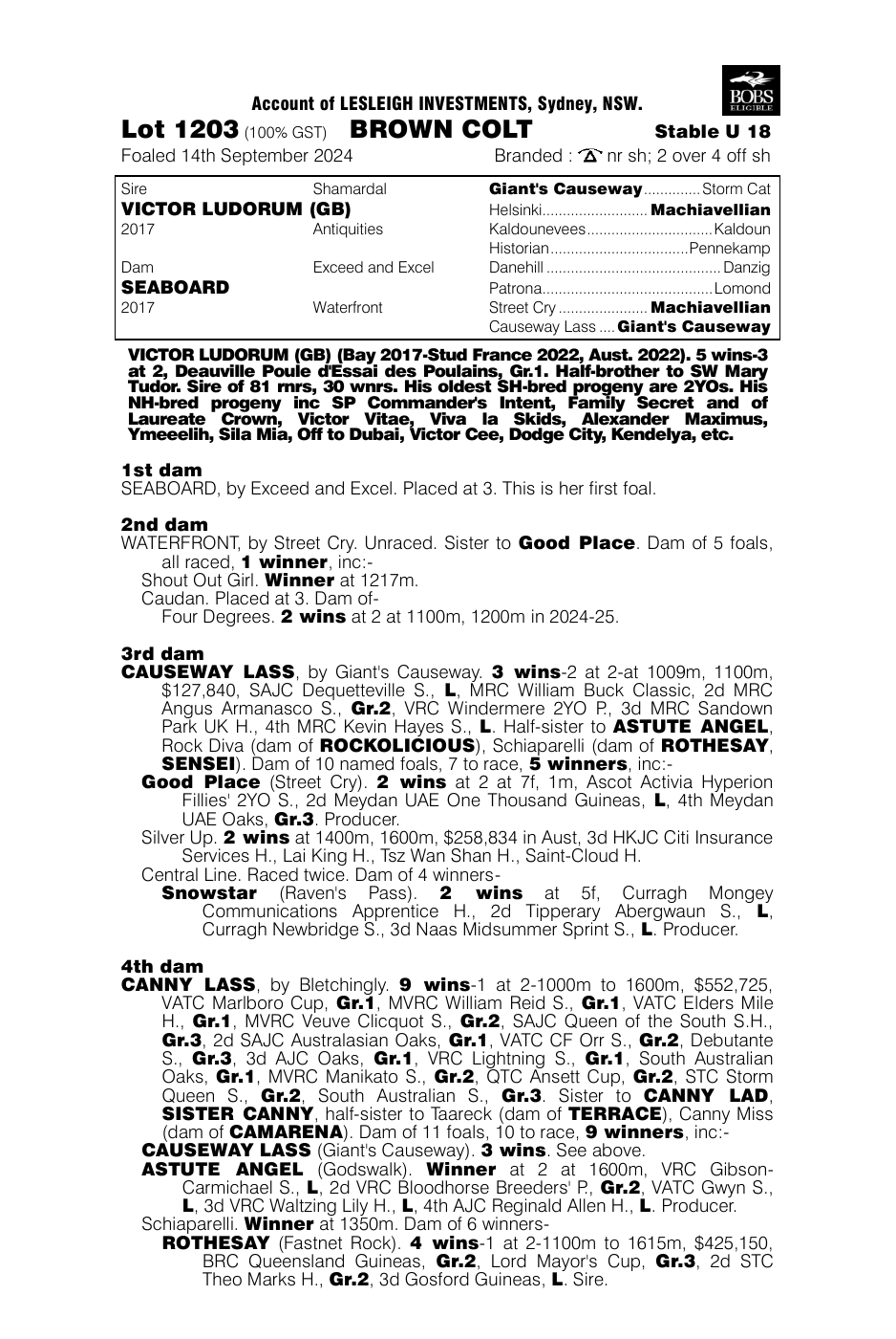Pedigree - Lot 1203