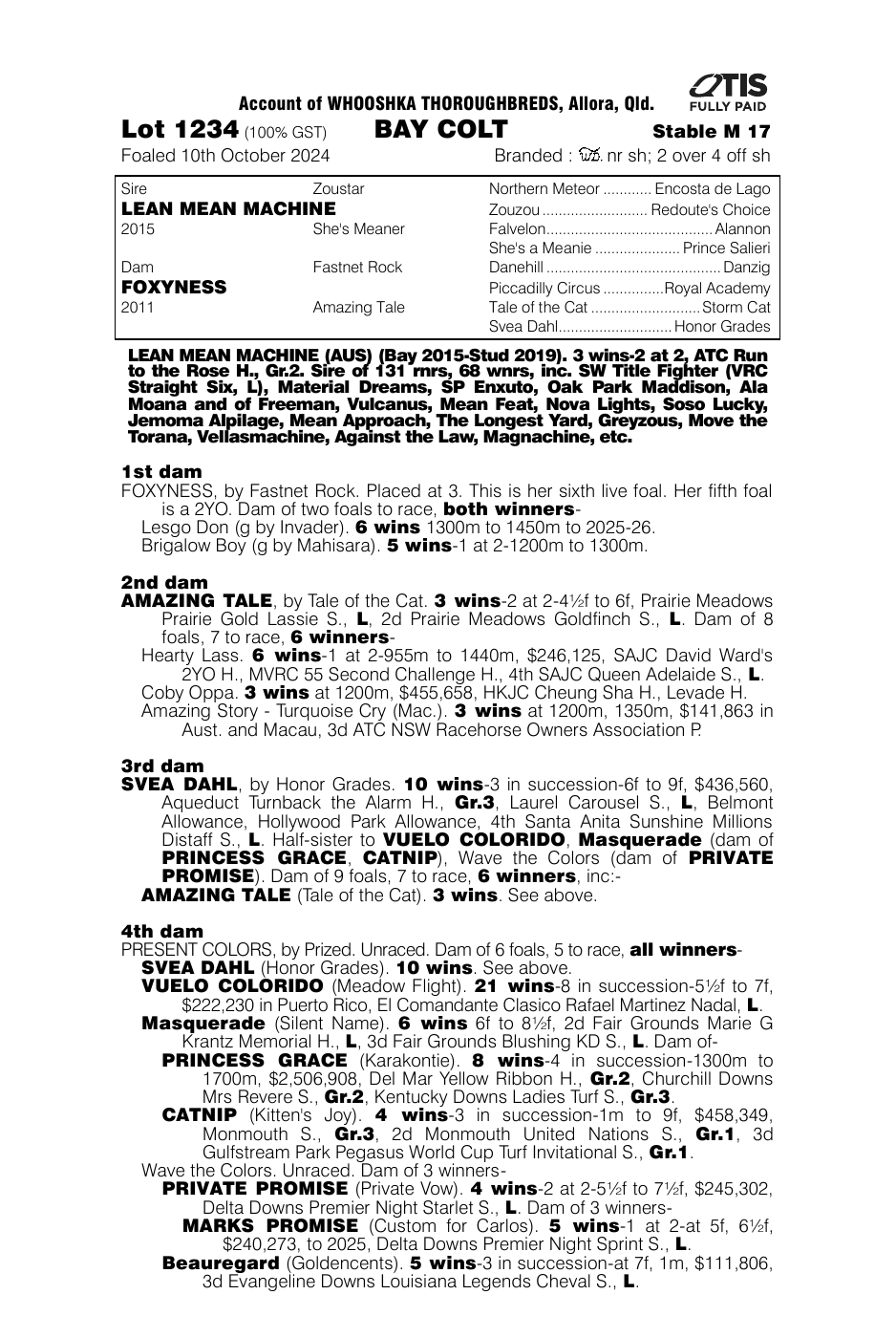 Pedigree - Lot 1234