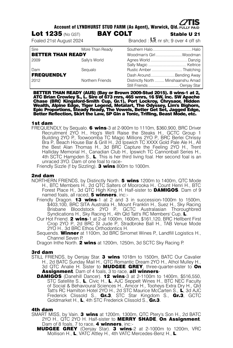 Pedigree - Lot 1235