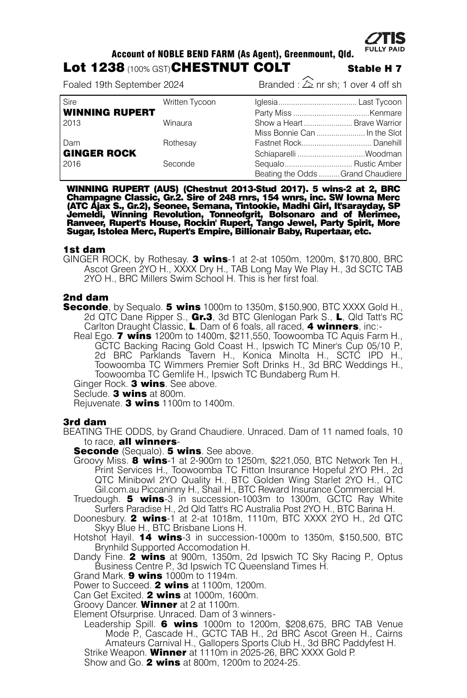Pedigree - Lot 1238