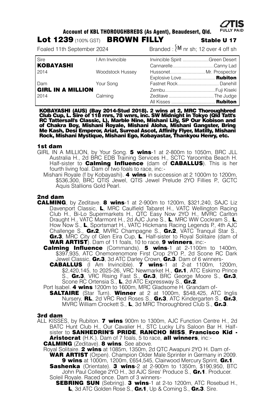 Pedigree - Lot 1239