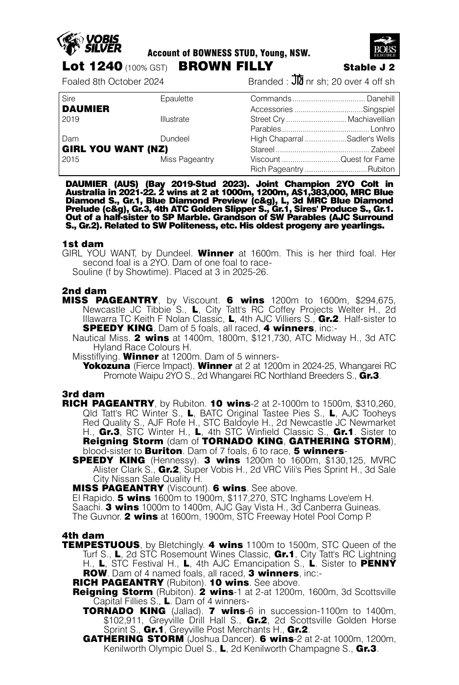 Pedigree - Lot 1240