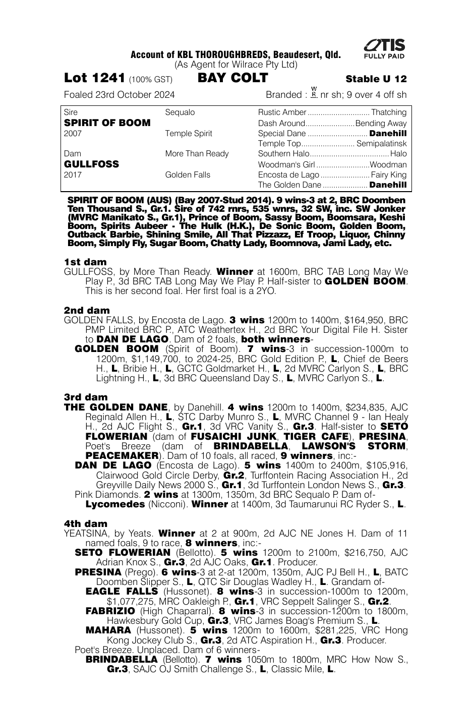 Pedigree - Lot 1241