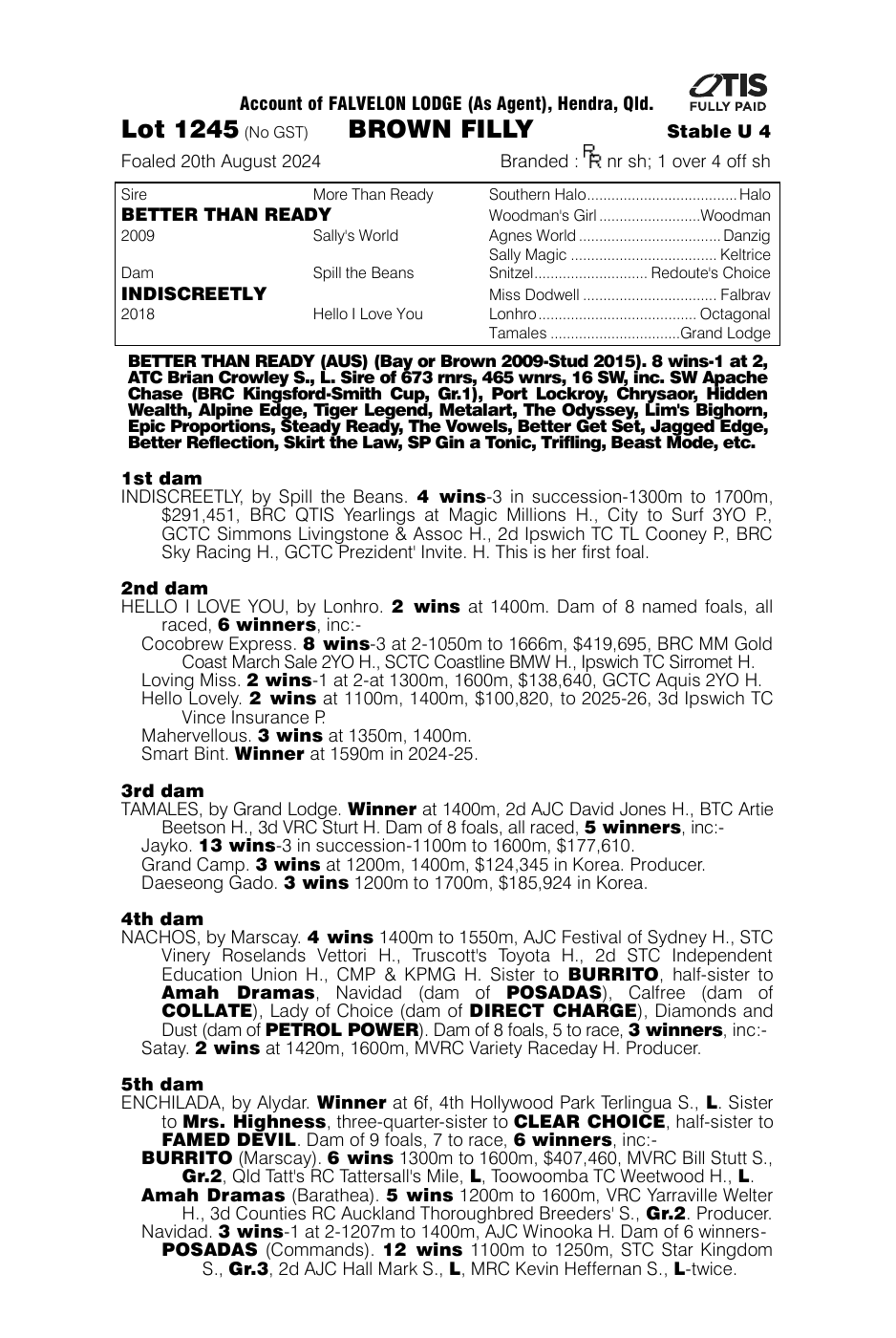 Pedigree - Lot 1245