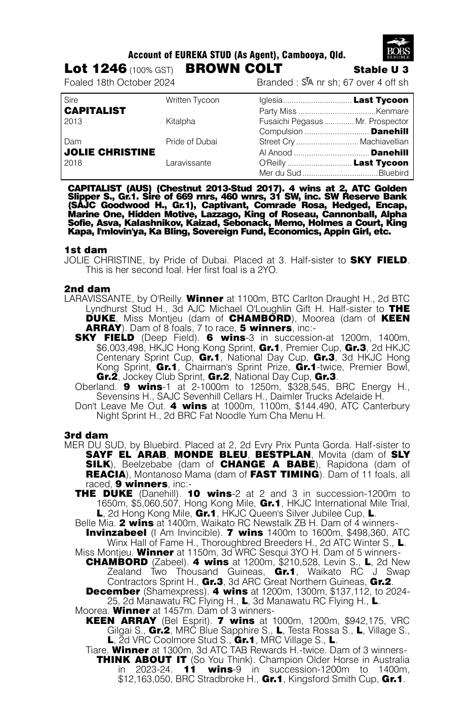 Pedigree - Lot 1246