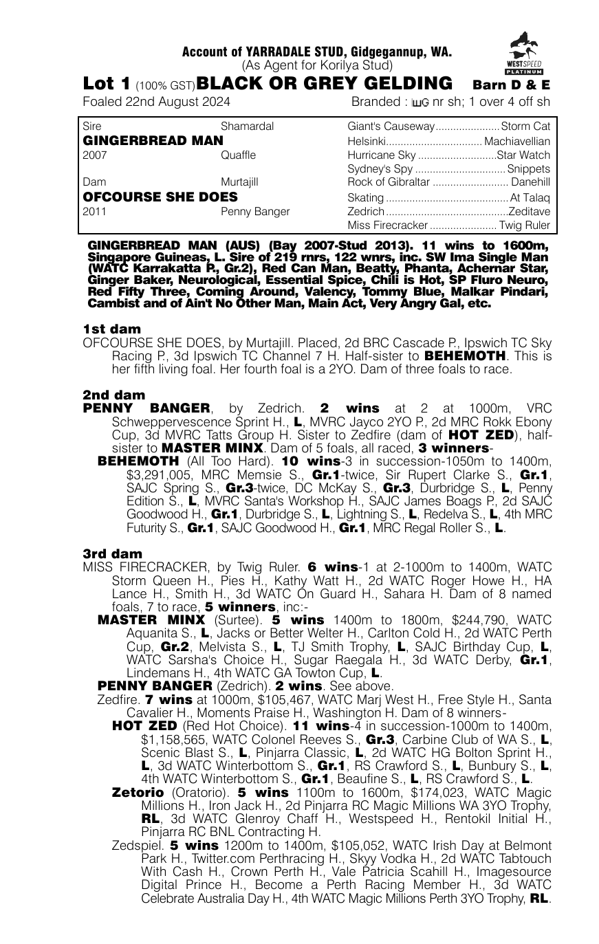 Pedigree - Lot 1