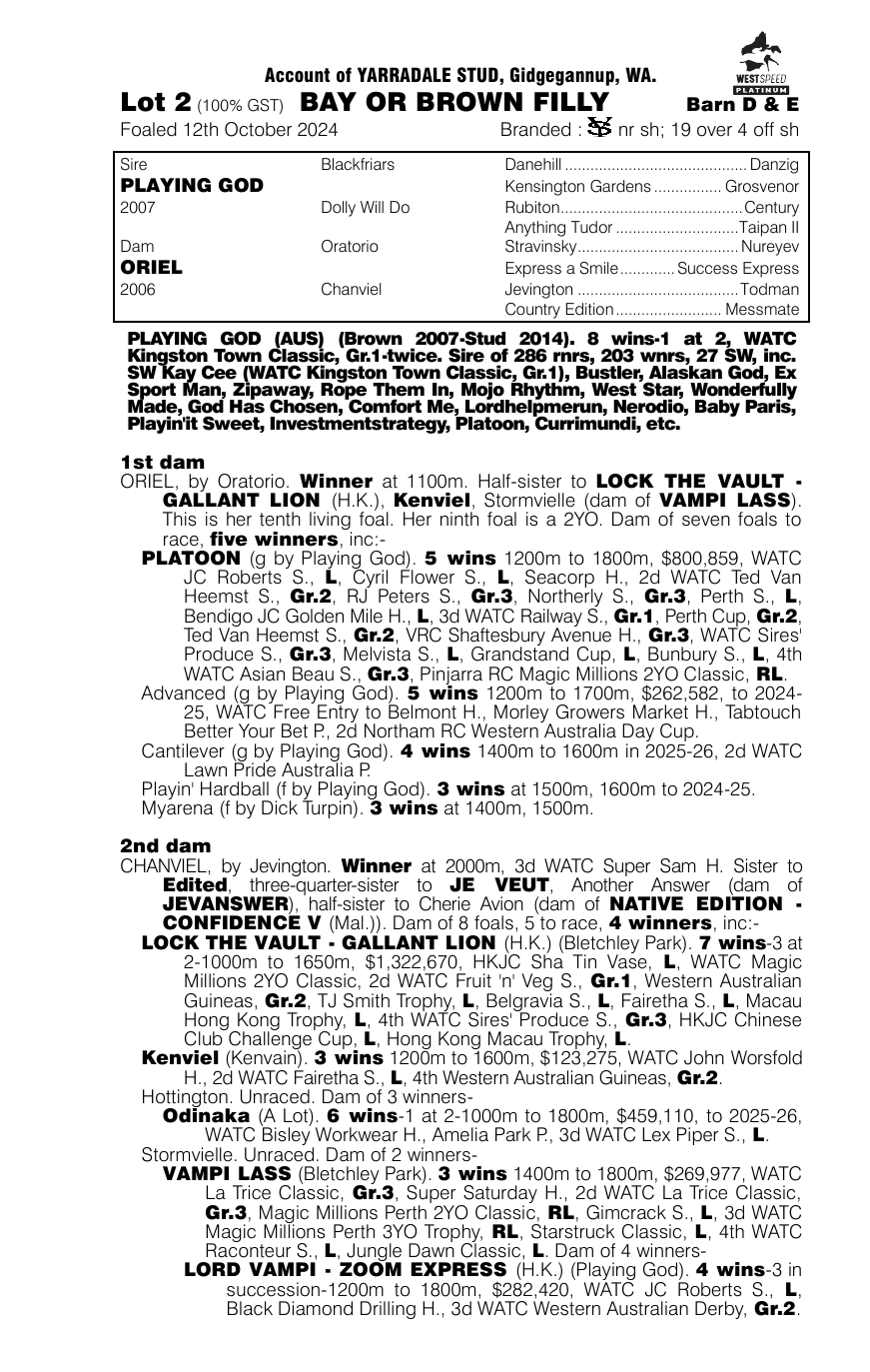 Pedigree - Lot 2