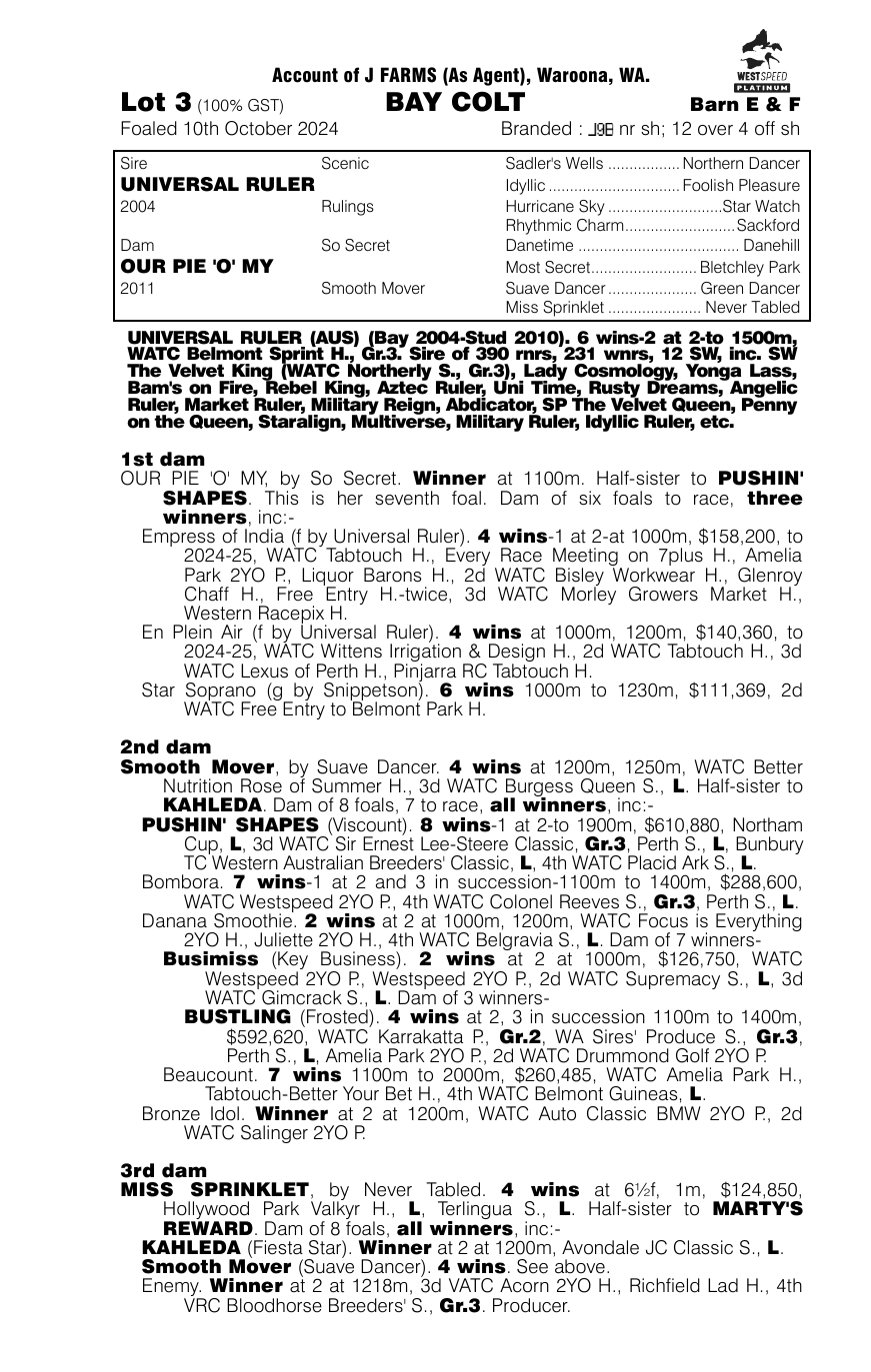 Pedigree - Lot 3