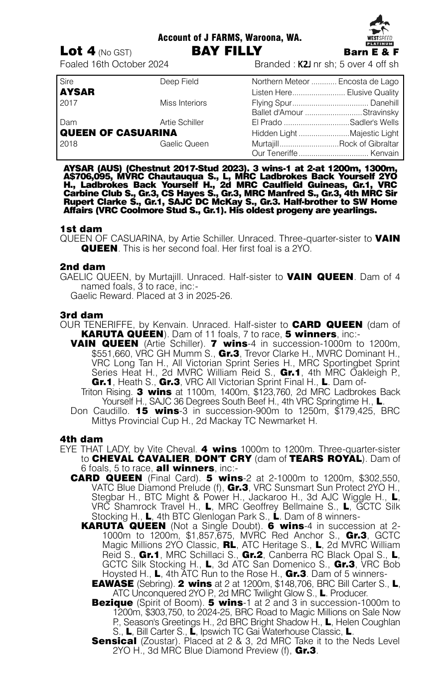 Pedigree - Lot 4