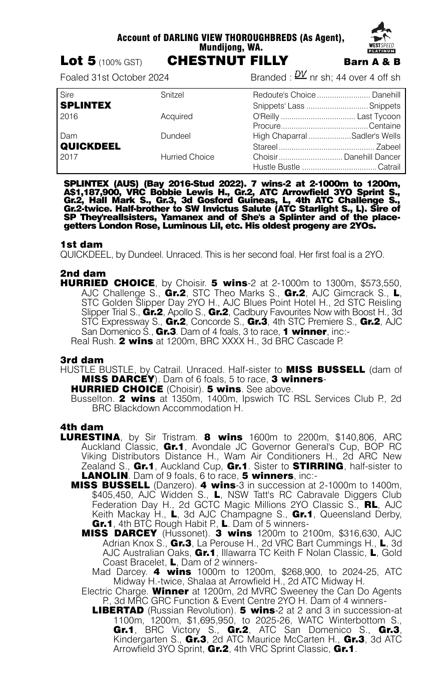 Pedigree - Lot 5