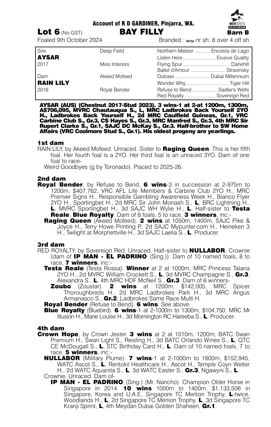 Pedigree - Lot 6