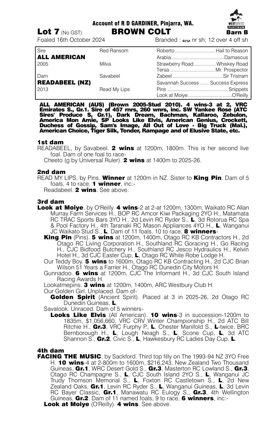 Pedigree - Lot 7