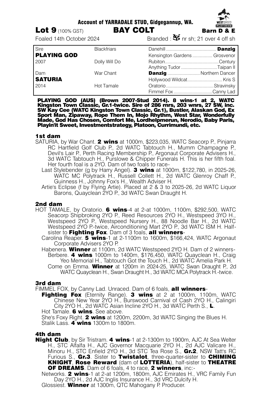 Pedigree - Lot 9