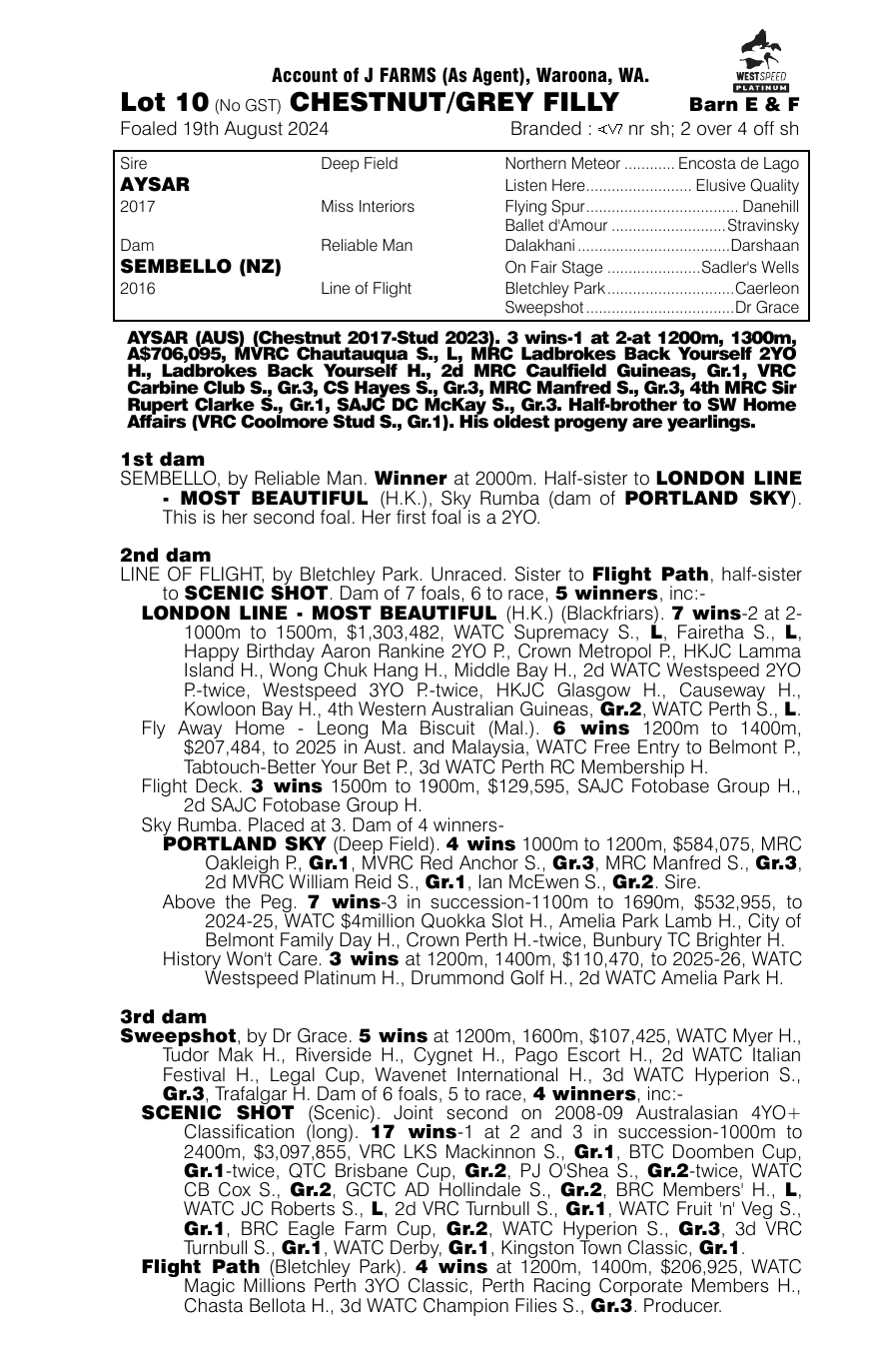 Pedigree - Lot 10
