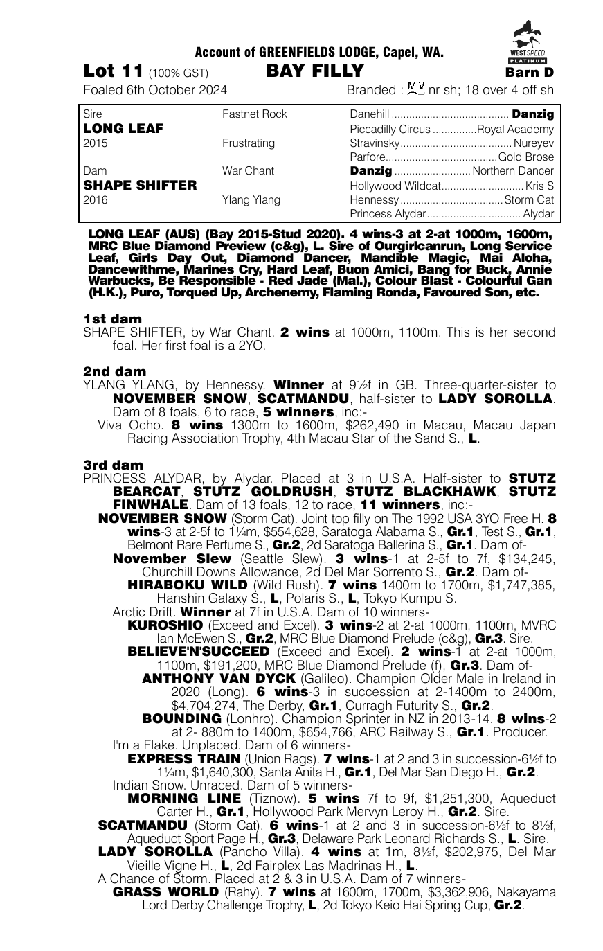 Pedigree - Lot 11
