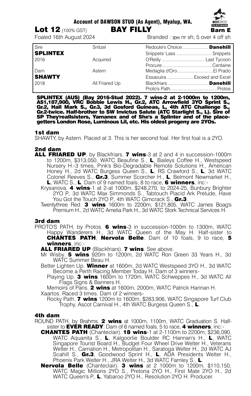 Pedigree - Lot 12