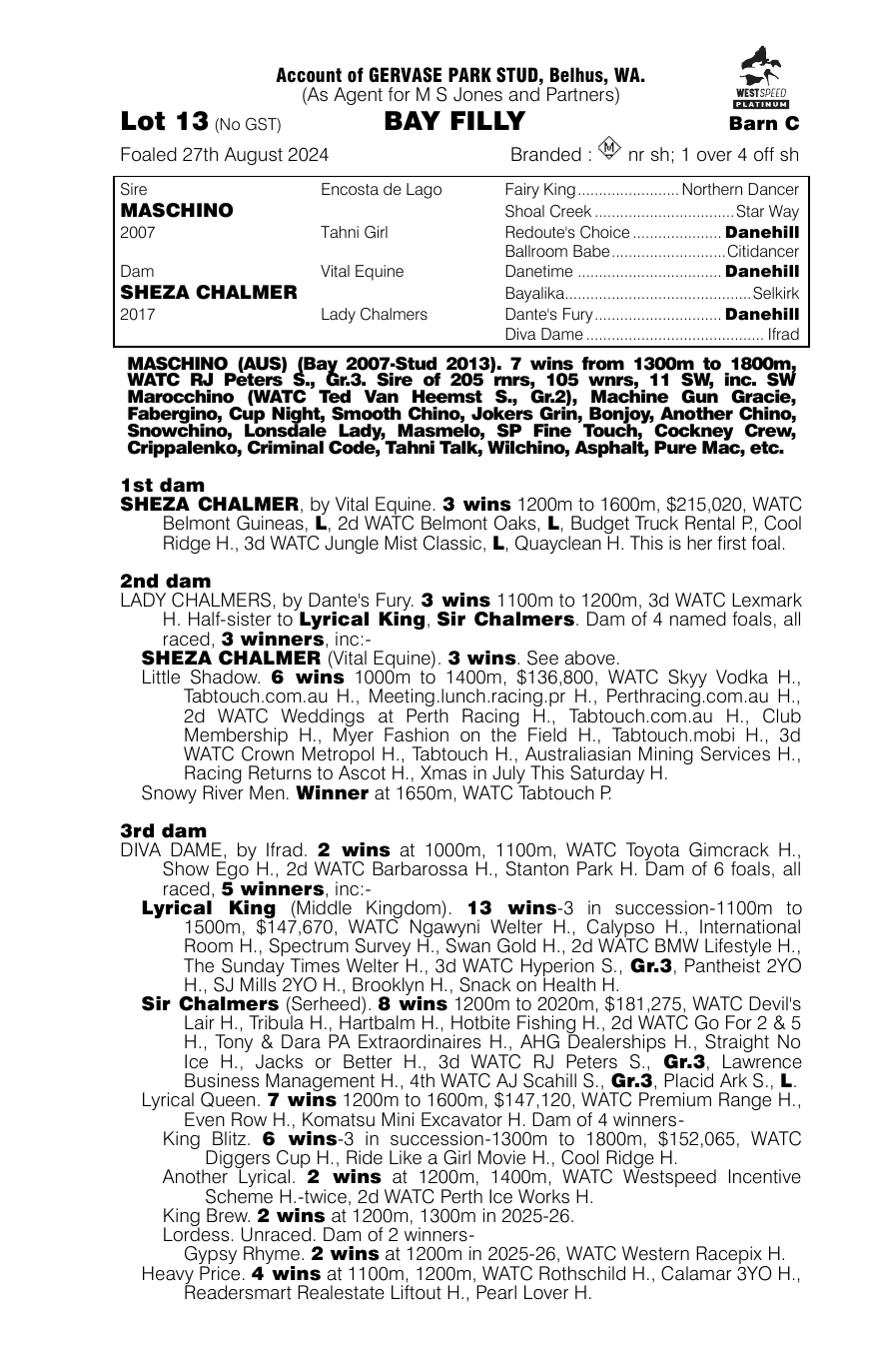 Pedigree - Lot 13