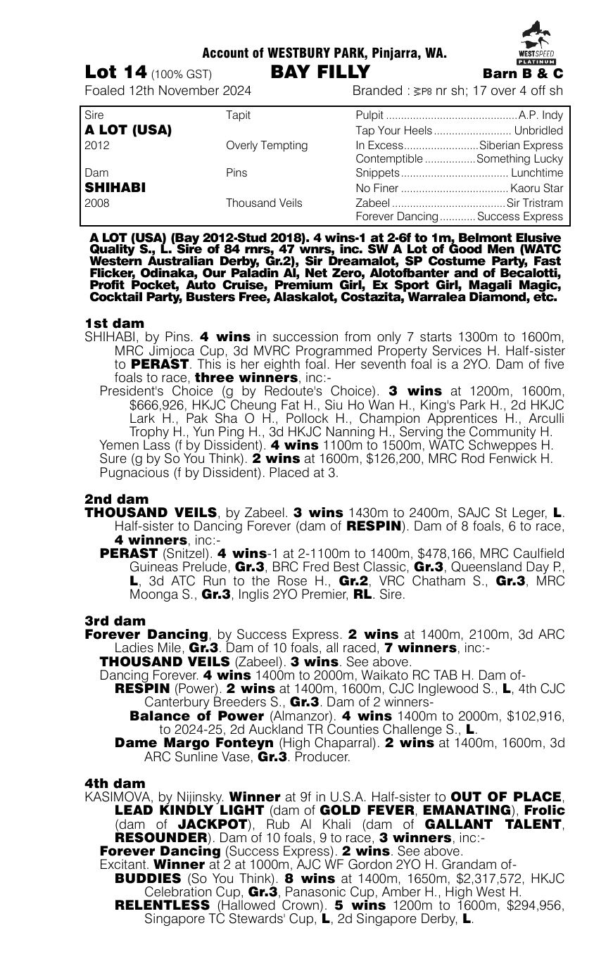 Pedigree - Lot 14