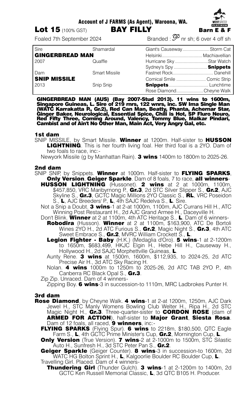 Pedigree - Lot 15