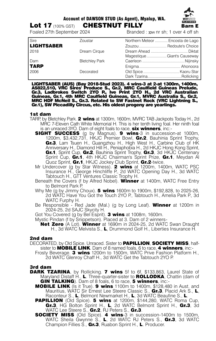Pedigree - Lot 17