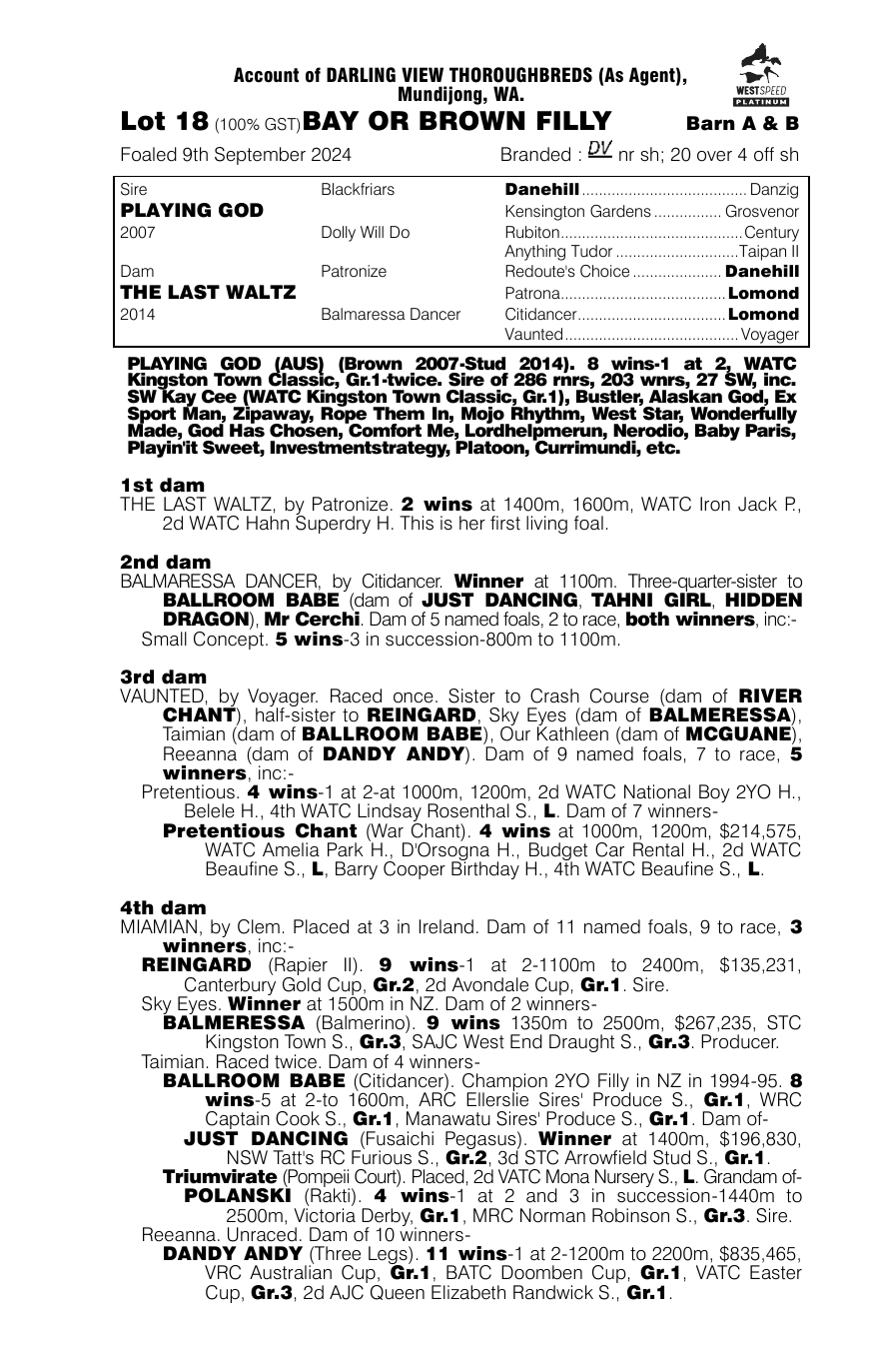 Pedigree - Lot 18