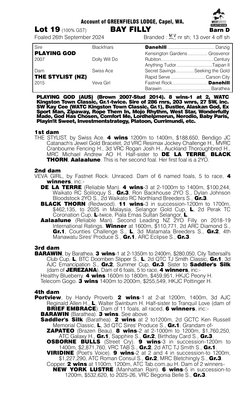 Pedigree - Lot 19