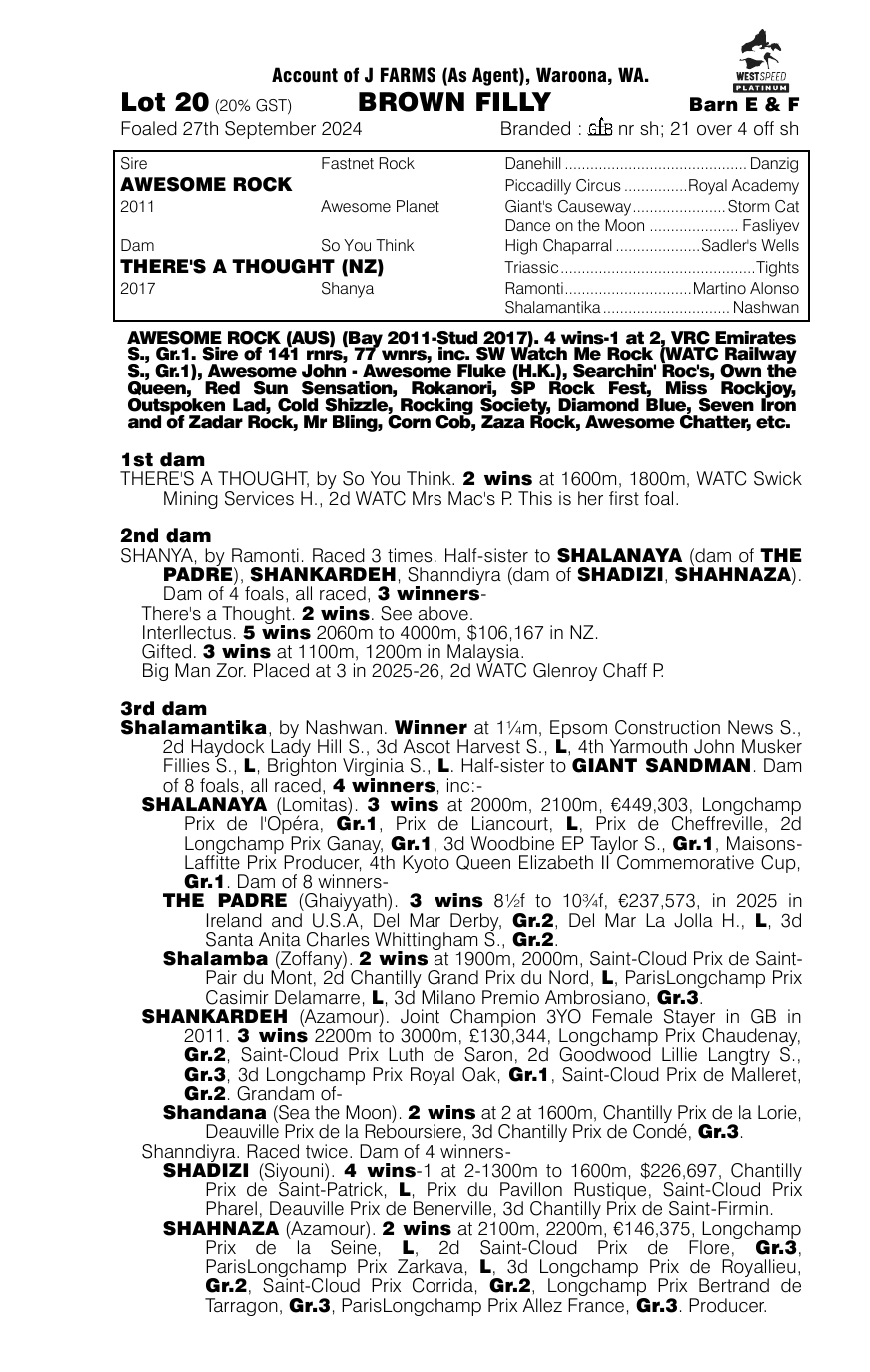 Pedigree - Lot 20