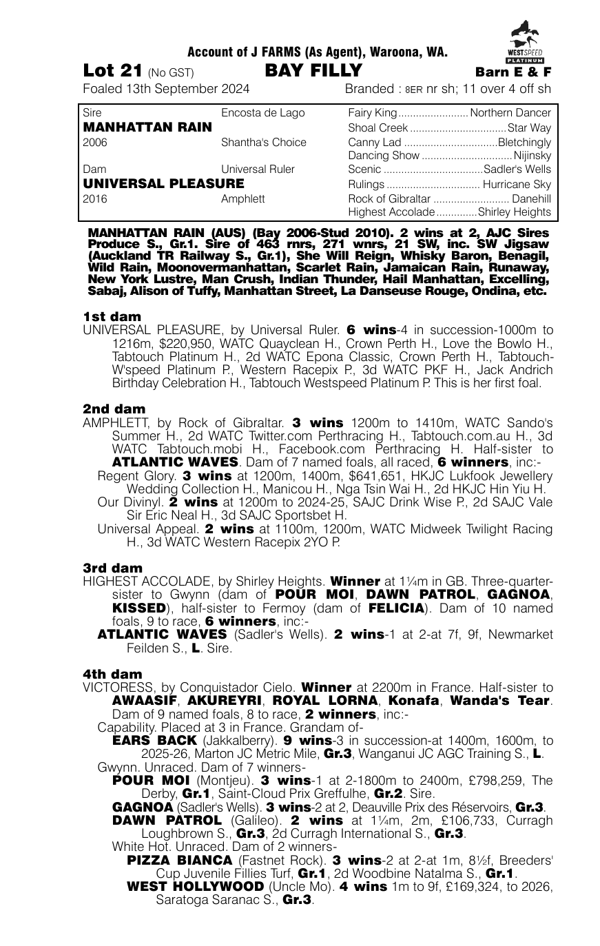 Pedigree - Lot 21