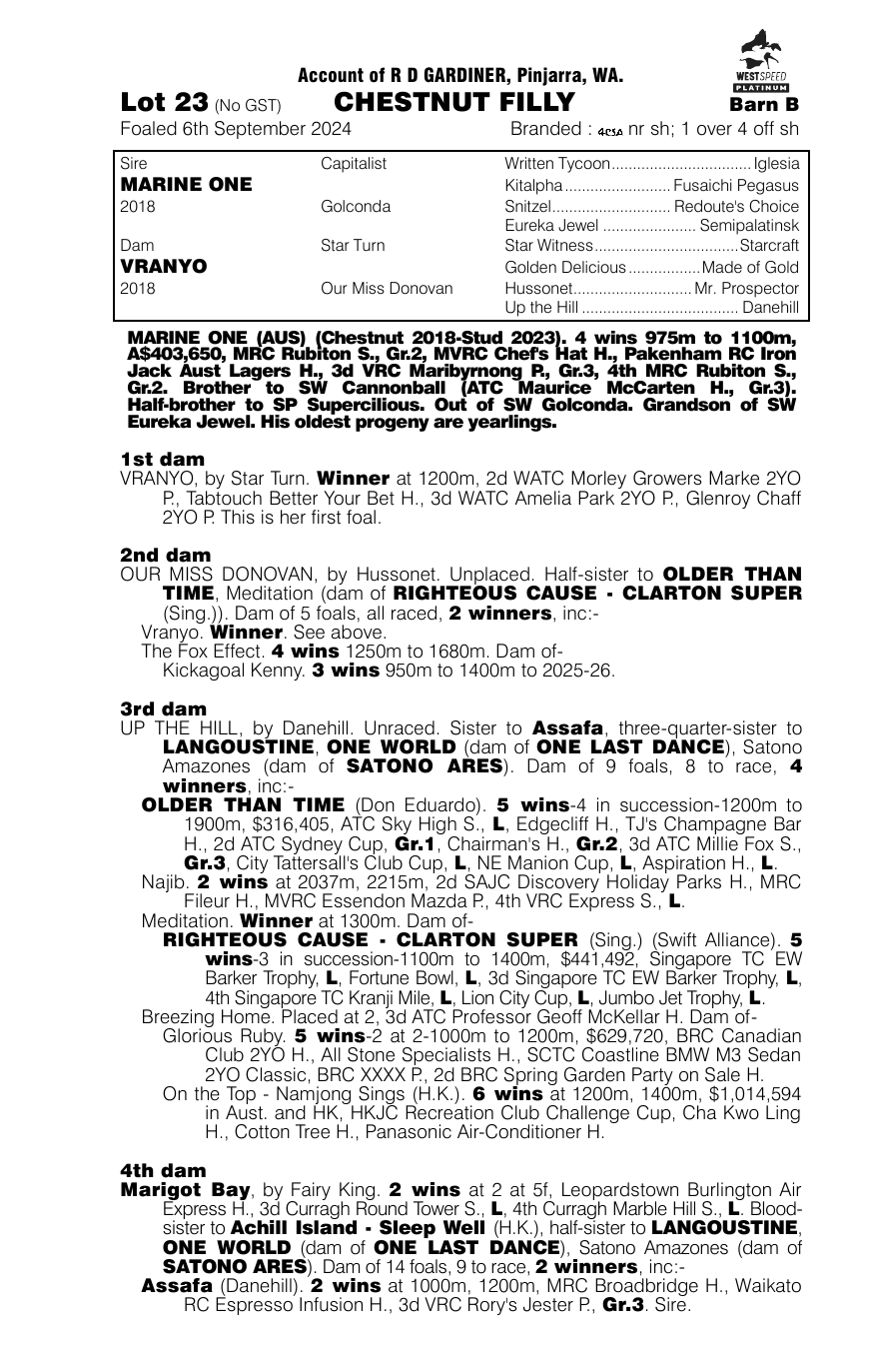 Pedigree - Lot 23
