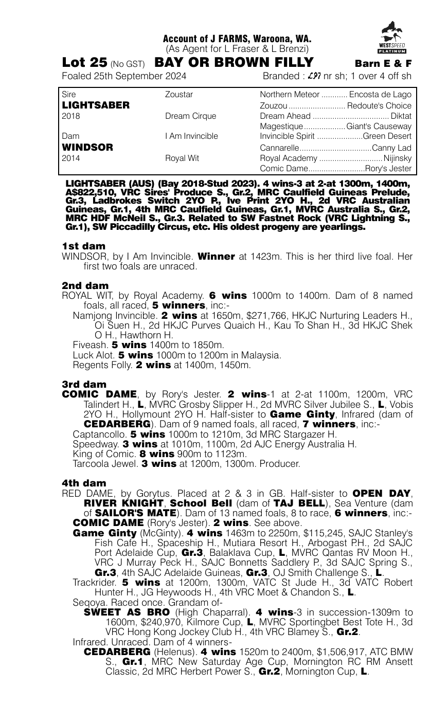 Pedigree - Lot 25
